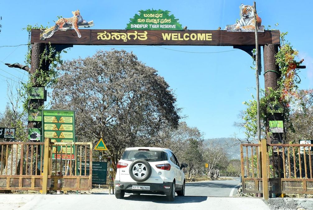 Bandipur National Park