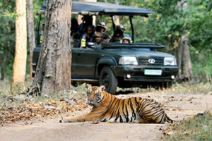 Nagarahole Tiger Reserve